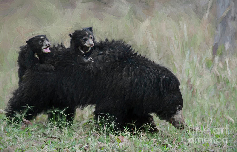 Sloth Bear and two cubs Digital Art by Liz Leyden