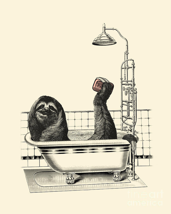 Animal Digital Art - Sloth in bathtub taking a shower by Madame Memento