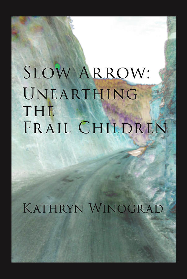 Slow Arrow Book Cover Photograph by Don Mitchell