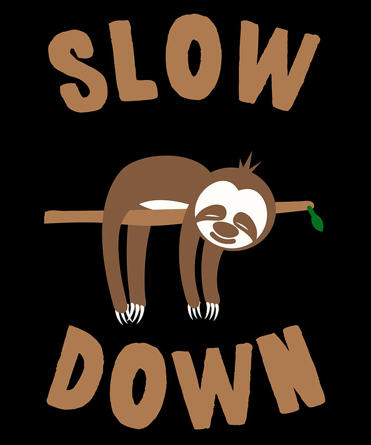 Slow Down Sloth Digital Art by Flippin Sweet Gear