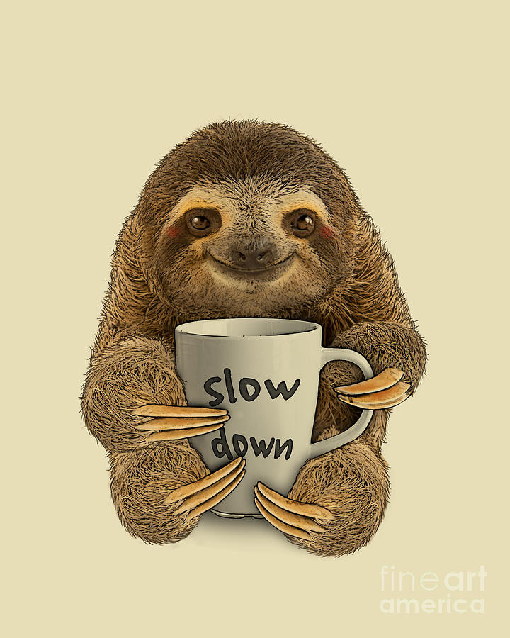 Coffee Digital Art - Slow Down Sloth by Madame Memento