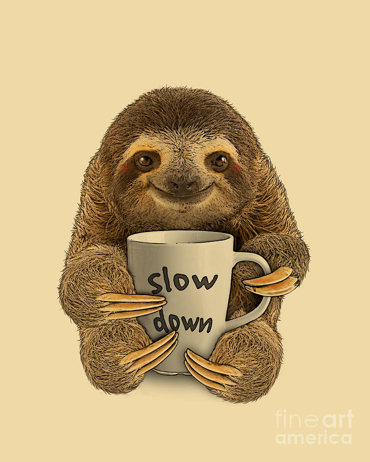 Coffee Digital Art - Slow Down Sloth Quote by Madame Memento