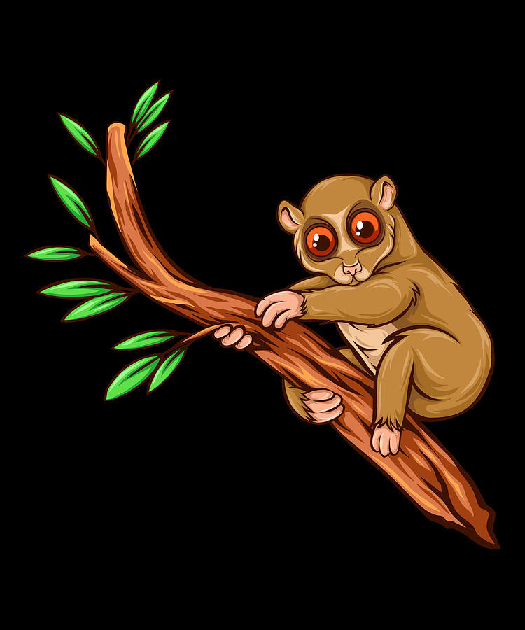 loris monkey