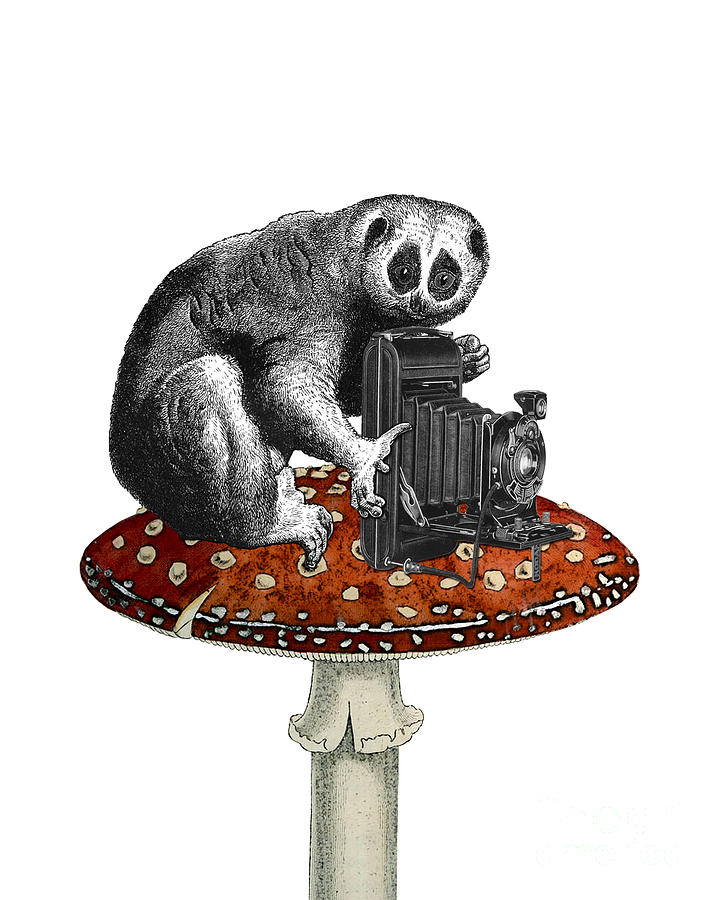 Wildlife Digital Art - Slow loris with antique camera by Madame Memento