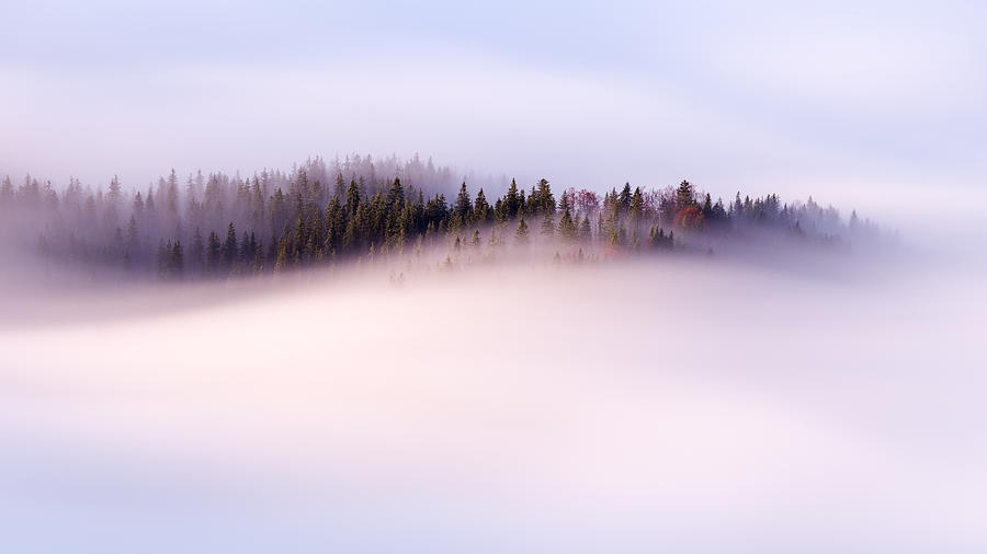 Slow moving clouds over the pine forest in the German alps Photograph by Foment