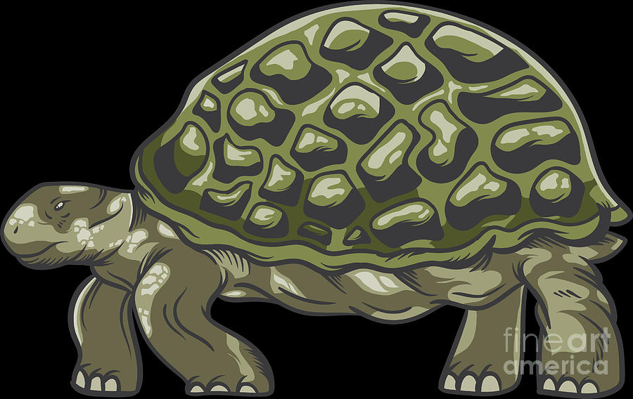Slow Tortoise Turtle Pet Marine Reptile Gift Digital Art by Haselshirt -  Fine Art America