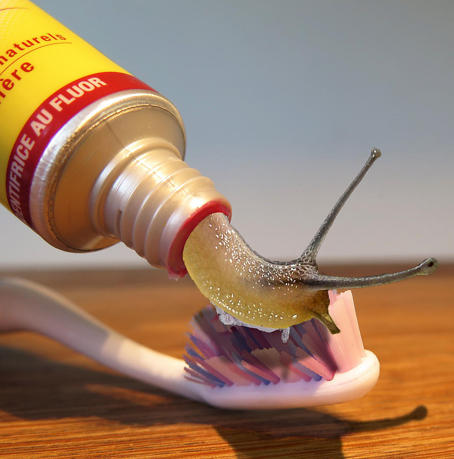 Slug And Toothpaste Surreal Digital Art