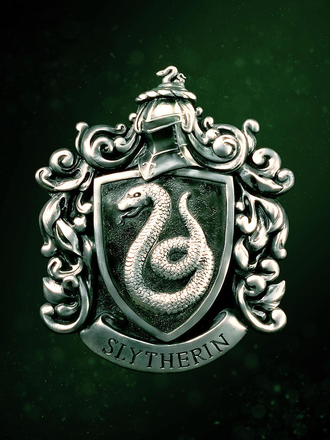  Harry Potter Slytherin Painted Crest Home Business Office Sign  : Office Products