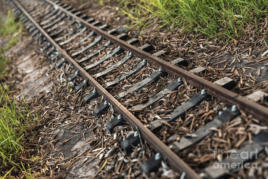 Small abandoned train tracks are a game for children. Photograph by Joaquin  Corbalan - Fine Art America