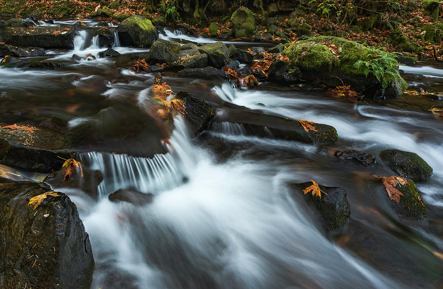 Small Autumn Stream by Harold Carlson Small Autumn Stream by Harold Carlson