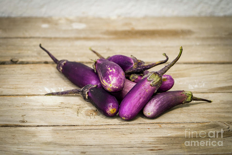 Small baby eggplant or aubergine, organic vegetable on wooden board. Photograph by Perry Van Munster