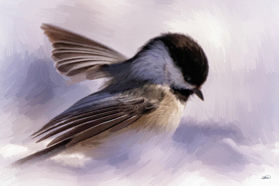 Small Bird in Snow -  DWP1366581 Painting by Dean Wittle