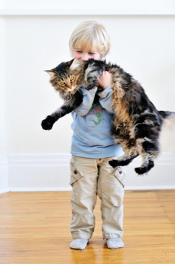 Small Boy, Large Cat Photograph by Allison Achauer