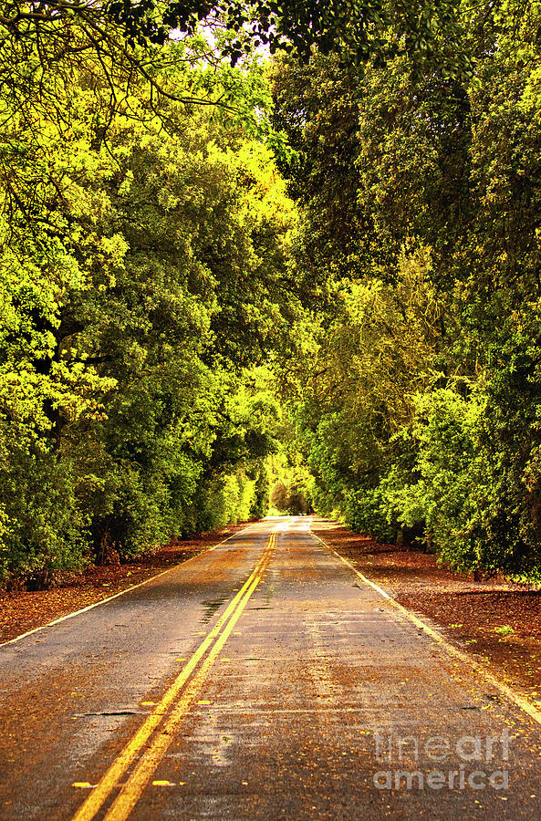 Small Country Road - Thorton, California Photograph