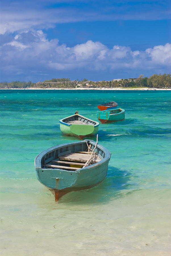 Small fishing boats Photograph by Michael Runkel | Fine Art America