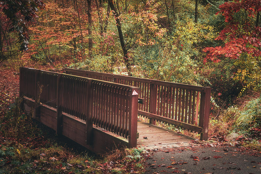 Small Footbridge in Autumn - Trexler Nature Preserve Photograph by Jason Fink