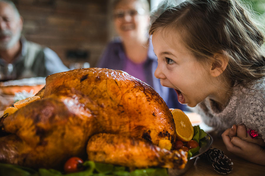 Small girl having fun while about to bite a roasted turkey on Thanksgiving. Photograph by Skynesher