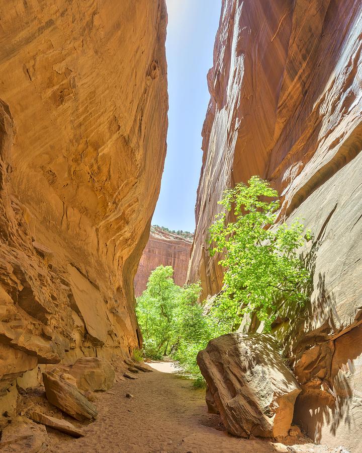 Small gorge, Grand Staircase-Escalante National Monument, Burr Trail Road, Boulder, Utah, United States Photograph by Christian Handl