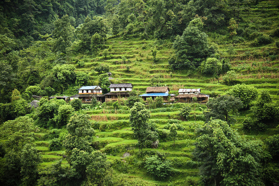 Small houses in green mountain Photograph by David Oliete