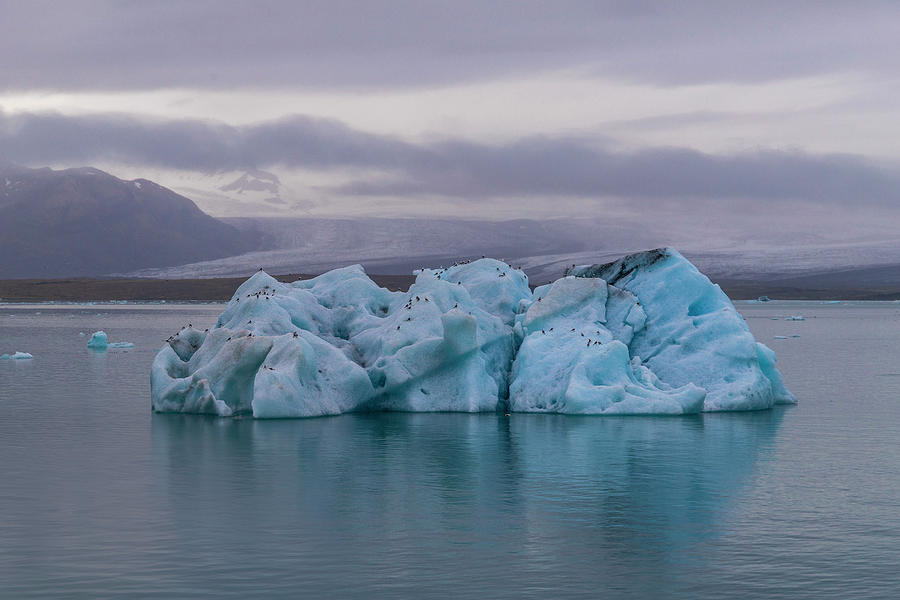 Small Iceberg at diamond beach Photograph by Pietro Ebner