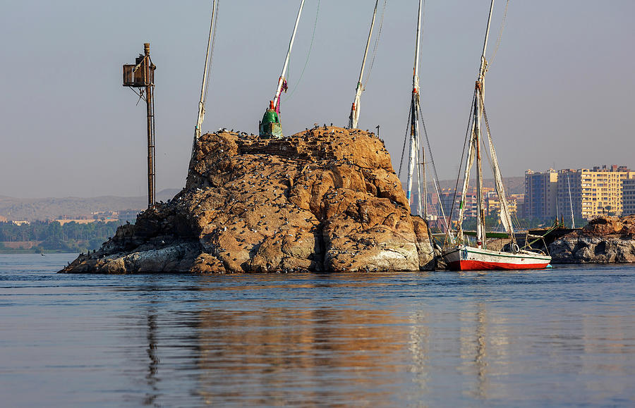 Small island with birds on Nile river Photograph by Mikhail Kokhanchikov
