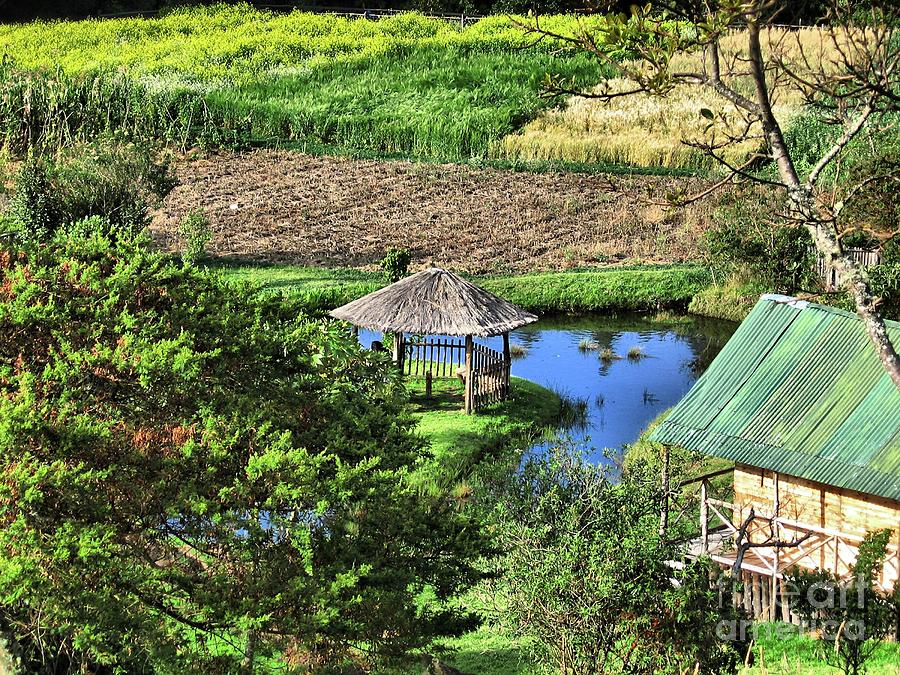 Small Lake at Chimayoy Park 2 Photograph by Julian Medina Ronga - Fine ...