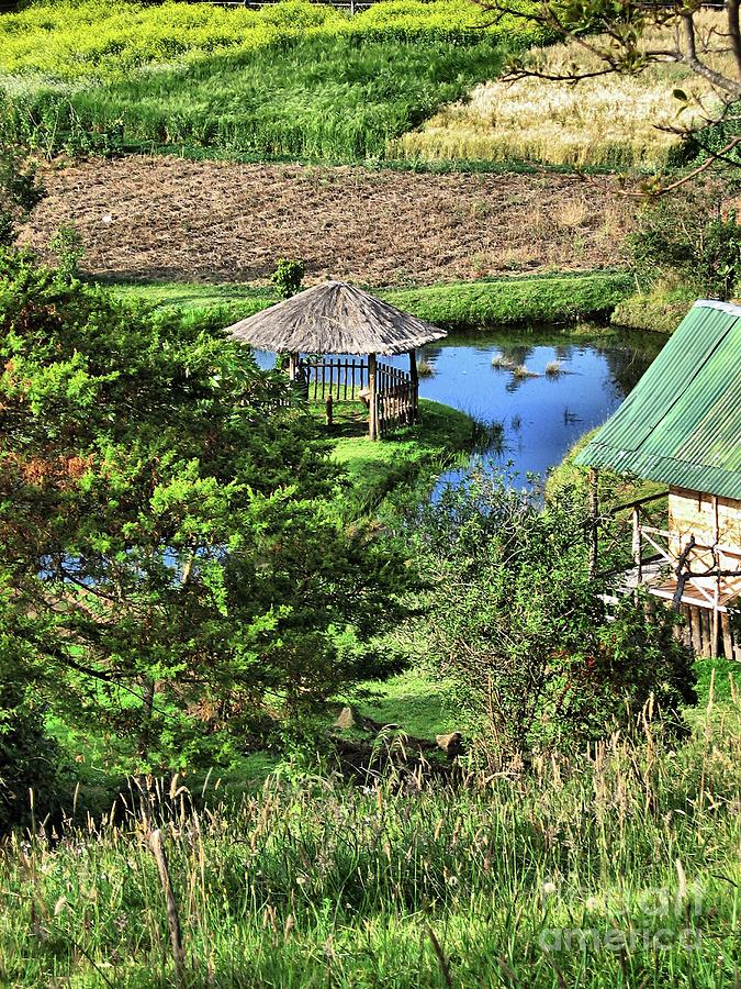 Small Lake at Chimayoy Park Photograph by Julian Medina Ronga | Fine ...