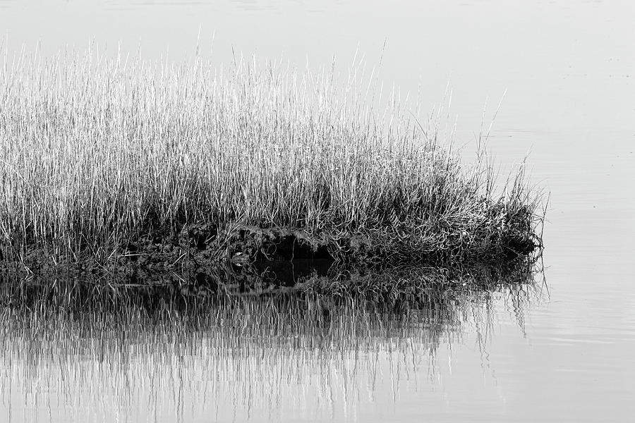 Small Marsh Grass Island  at High Tide in Black and White Photograph by Bob Decker