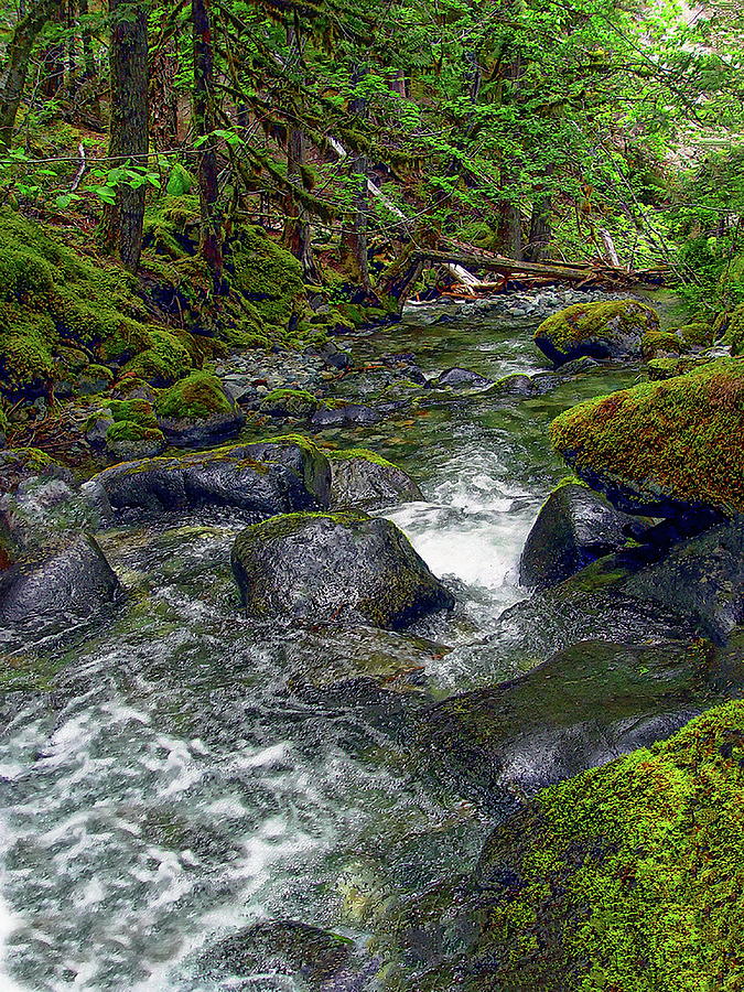 Small Mountain Creek by Anthony Dezenzio Small Mountain Creek by Anthony Dezenzio
