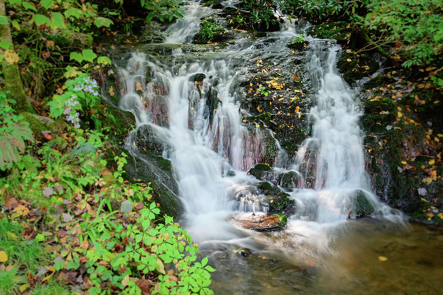 Small mountain waterfall Photograph by Ed Stokes