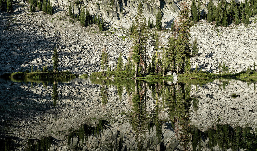Small Pine Grove Reflects In Cliff Lake Photograph by Kelly VanDellen
