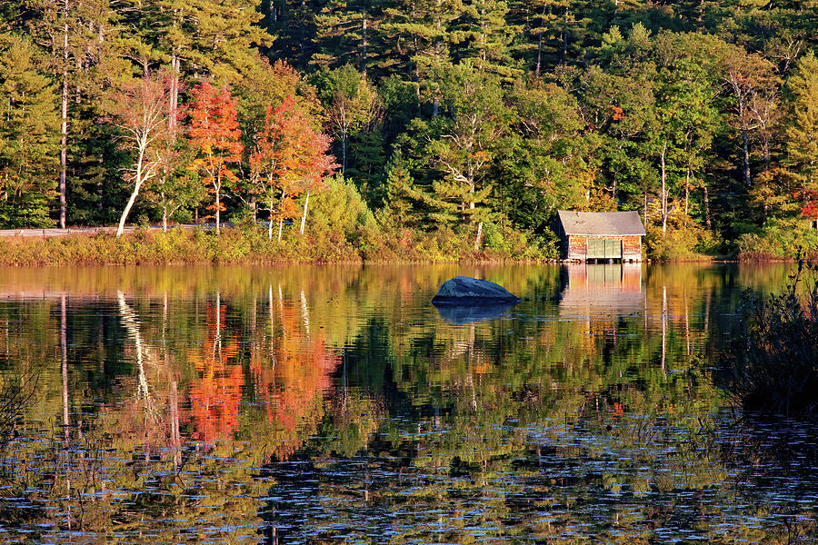 Small Pond With Afternoon Fall Color Photograph