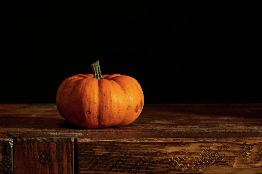 Small Pumpkin Photograph by Paul Freidlund