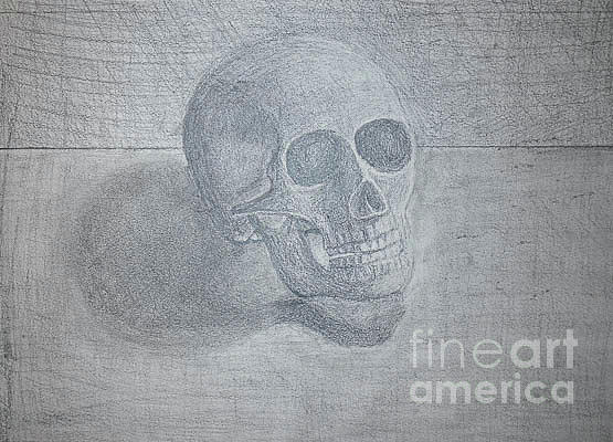 Small Skull Drawing by Nicole Robles