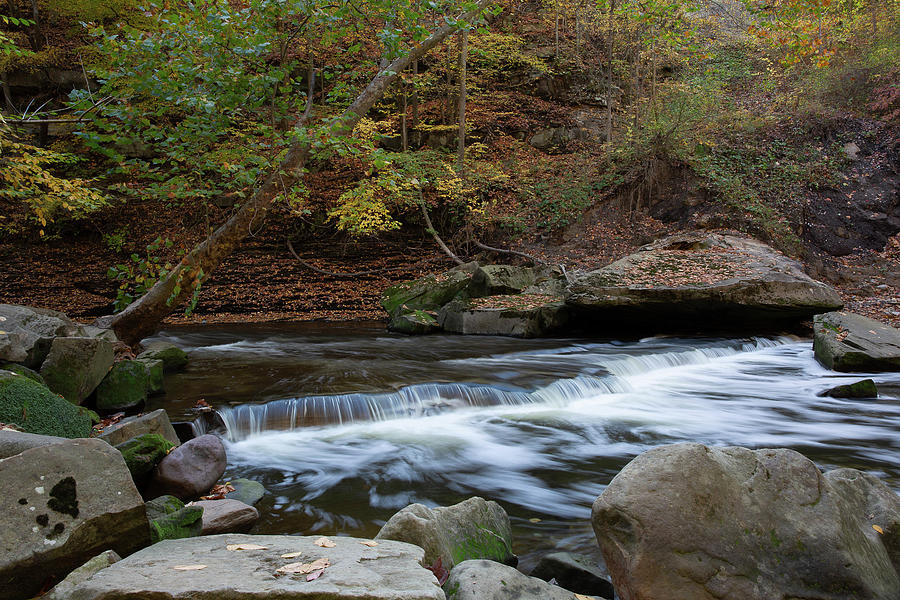 William Steps Small Steps Photograph by William Lawrence - Fine Art America