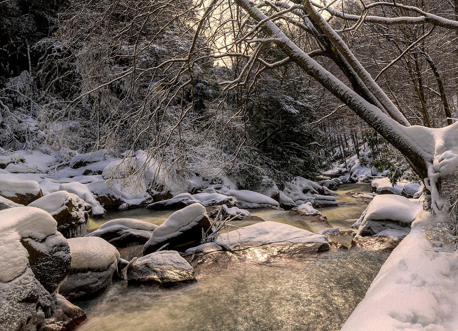 Small stream in the winter Photograph by Dan Friend