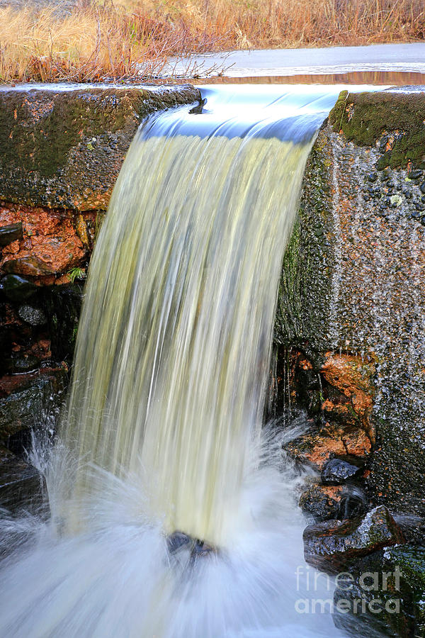 Small Stream Running in Winter Photograph by Taina Sohlman - Fine