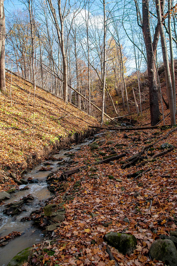 Small Stream Through An Autumn Valley Photograph