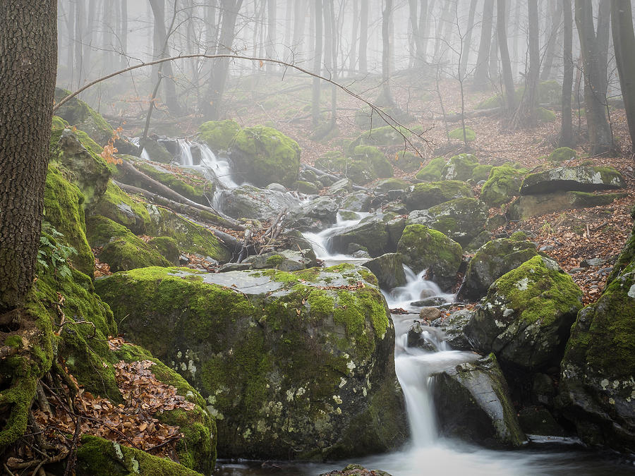 Small stream waterfall in a foggy day Photograph by Jivko Nakev