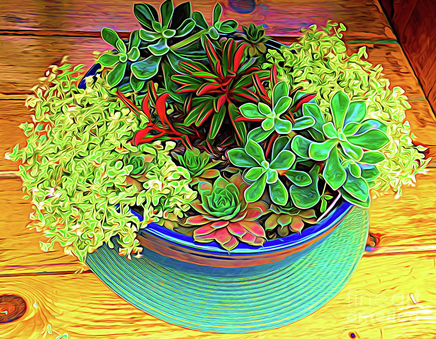 Small Succulent Garden in a Bowl Abstract Expressionism Effect Photograph by Rose Santuci-Sofranko