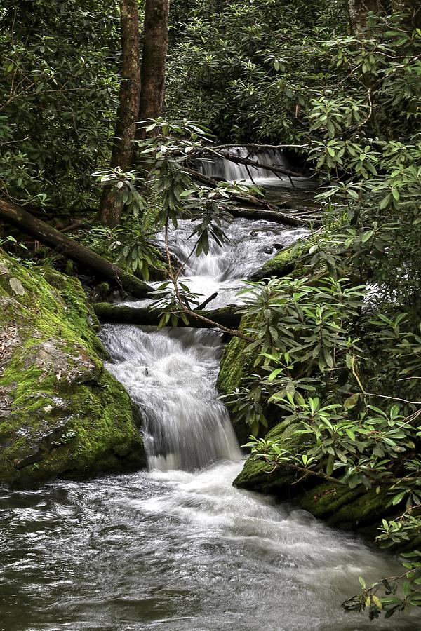 Small Three Tier Cascade in The Great Smoky Mountains National Park Deep Creek  Photograph by Carol Montoya