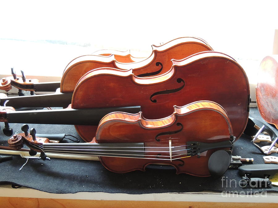 Small To Large Violines Germany Stugart Photograph