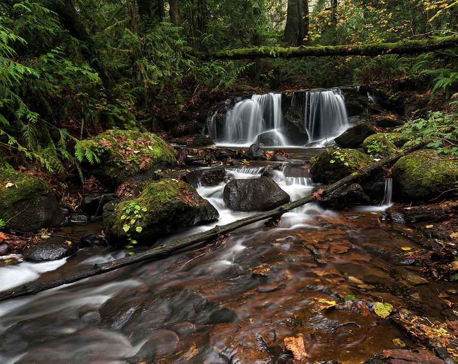 Small Waterfall on Poignant Creek Photograph by Michael Russell