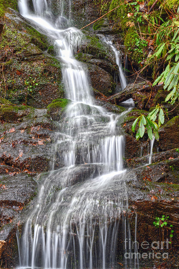 Small Waterfalls 4 Photograph by Phil Perkins