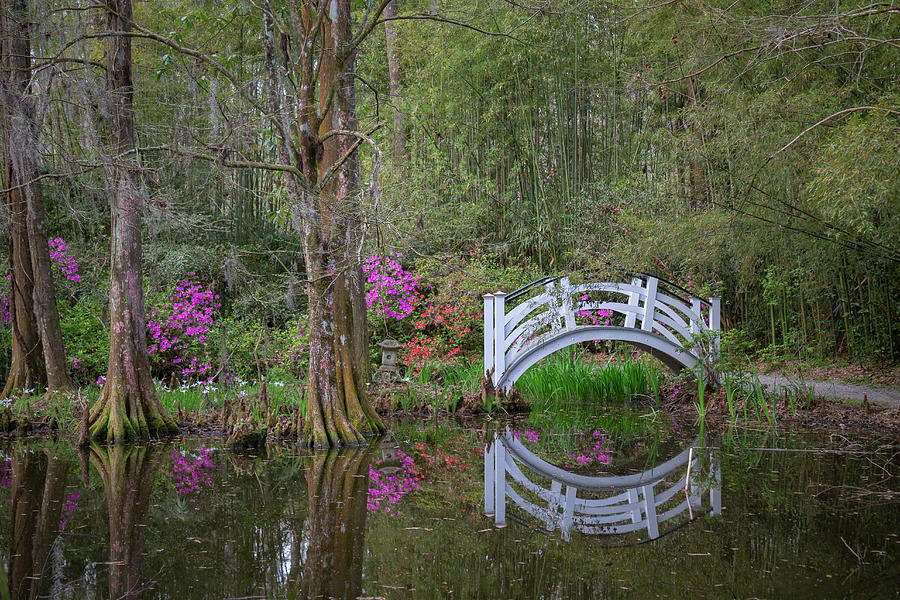 Small White Bridge with Reflection Photograph by Cindy Robinson