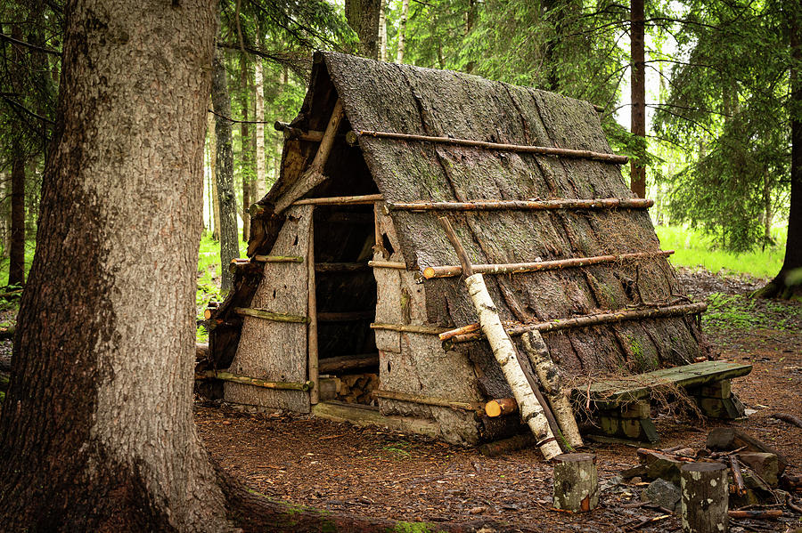 Small Wooden Hut Of A Woodworker In The Forest Photograph