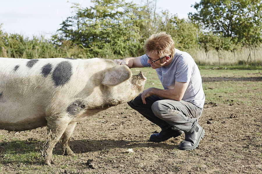 Smallholder on his farm with one of his pigs Photograph by Richard Drury