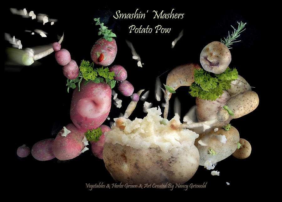 Smashin Mashers Potato Pow Photograph by Nancy Griswold