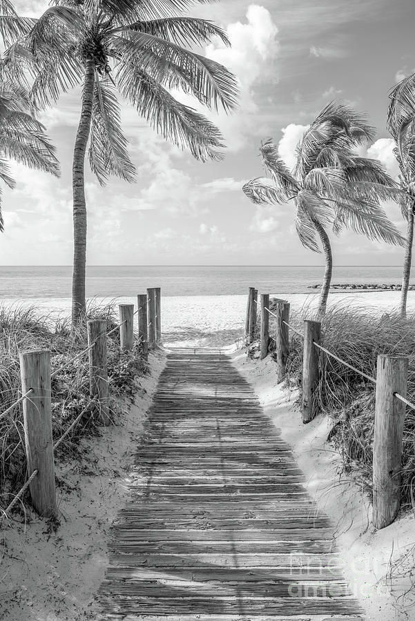 Smathers Beach Entrance Key West Black and White Photo Photograph by Paul Velgos