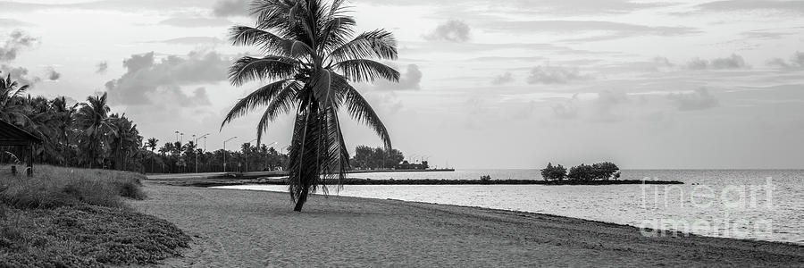 Smathers Beach Key West Black and White Panorama Photo Photograph by Paul Velgos